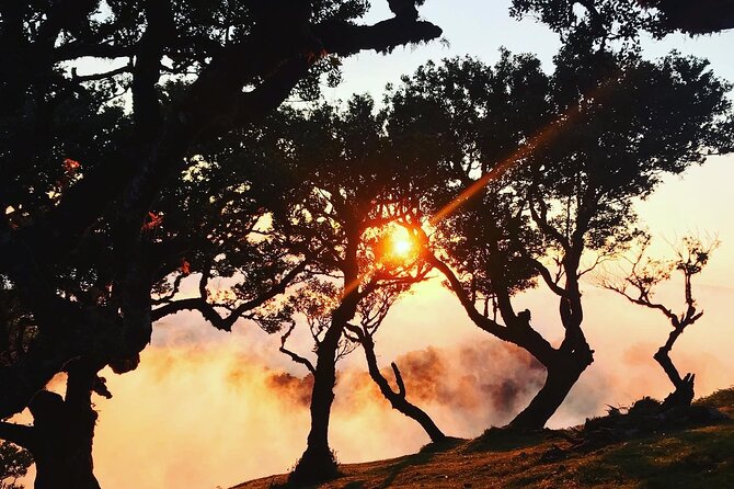 Fanal Forest Private Sunset Hike - Why Fanal works so well at sunset