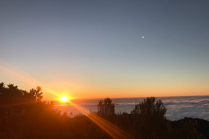 Fanal Forest Private Sunset Hike - The Fanal Forest walk, about 7 km and mostly flat