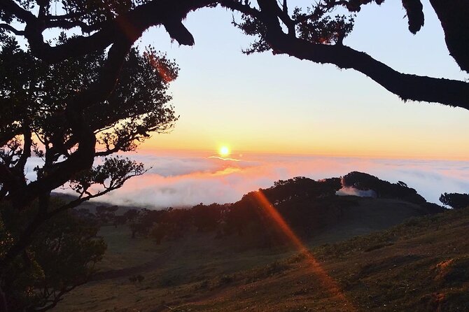Fanal Forest Private Sunset Hike - Local details, photos, and possible extras