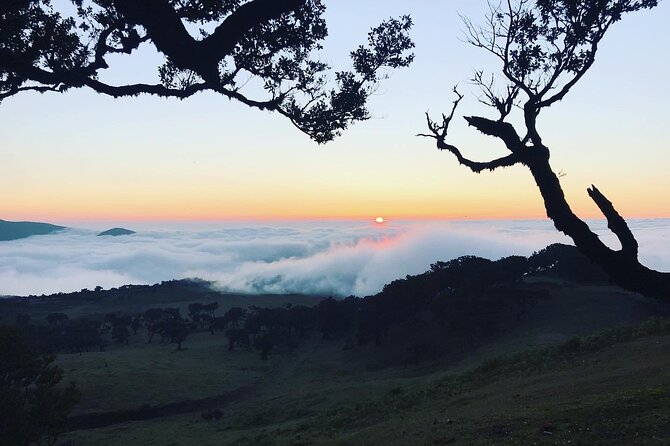 Fanal Forest Private Sunset Hike - Is $90.11 per person good value?