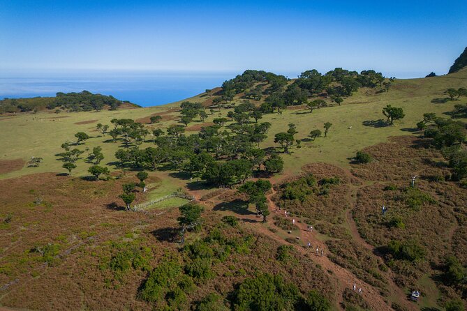 Fanal & Porto Moniz - West Madeira Tour - Porto Moniz: two hours for pools, lunch, and sea views
