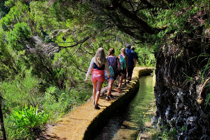 Fascinated Landscapes Northwest 4x4 excursion - Poça das Lesmas: another volcanic pool setting