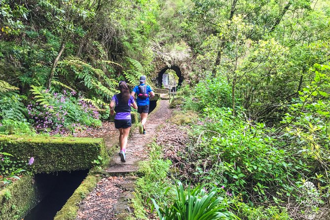 Folhadal Hidden Treasures Running Tour (Moderate) - Why this run reaches parts of Madeira most people miss