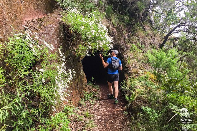 Folhadal Hidden Treasures Running Tour (Moderate) - Hundreds of steps and the open mountain view