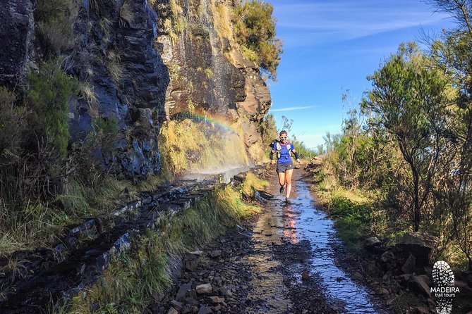 Folhadal Hidden Treasures Running Tour (Moderate) - Who should book this experience?