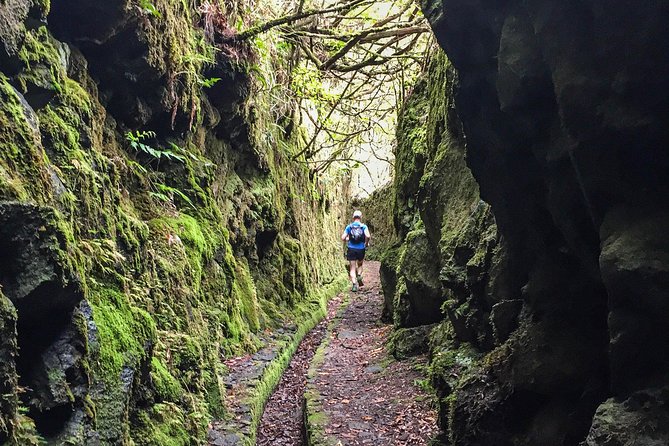 Folhadal Hidden Treasures Running Tour (Moderate) - The 500-metre and 800-metre tunnels
