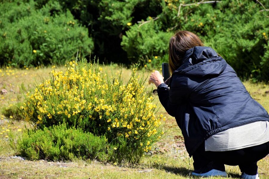 From Funchal: 2-Day Guided Tour of Madeira - Who should book this tour?