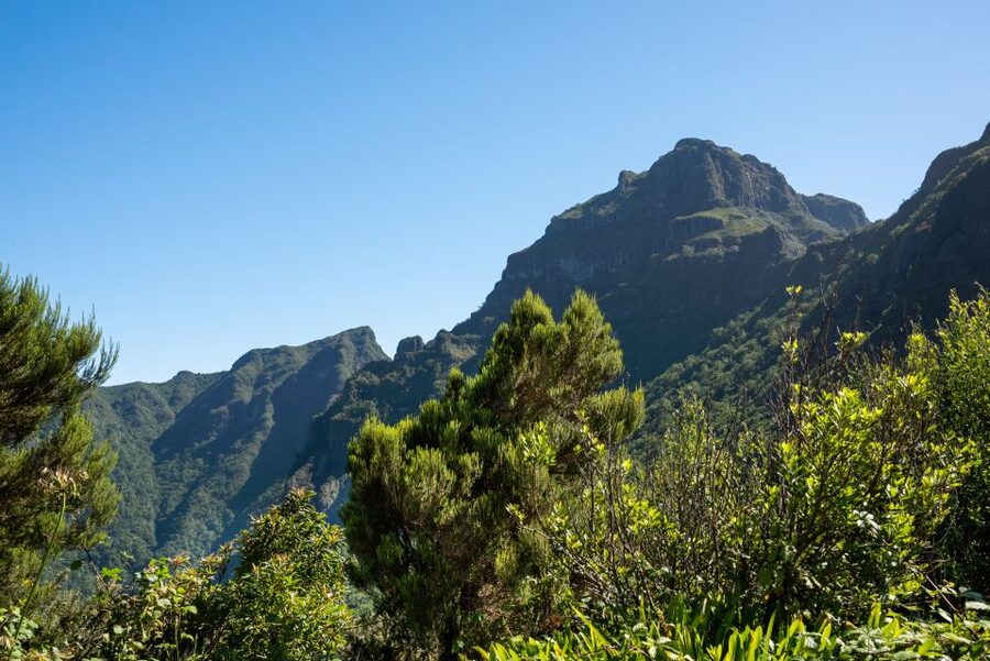 From Funchal: Best of Madeira's West Tour - What the minibus ride is really like