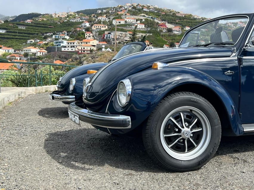From Funchal: Cabo Girão & Poncha Tasting by Classic VW - How good is the $88 value?
