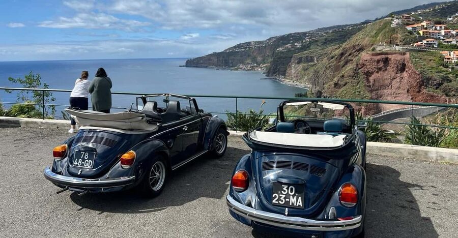 From Funchal: Cabo Girão & Poncha Tasting by Classic VW - Who will enjoy this Madeira outing most?