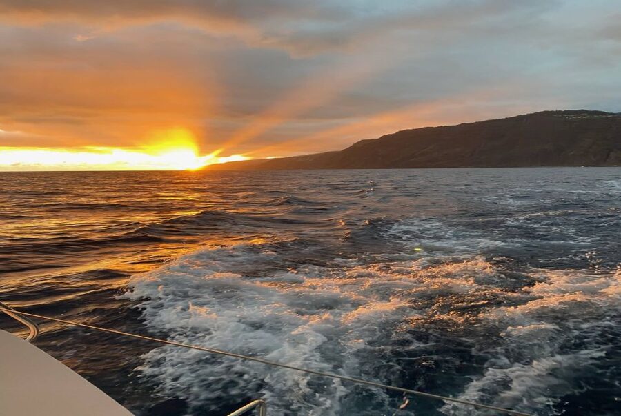 From Funchal: Cabo Girao Sunset Cruise on Luxury Catamaran - Who will enjoy this cruise most
