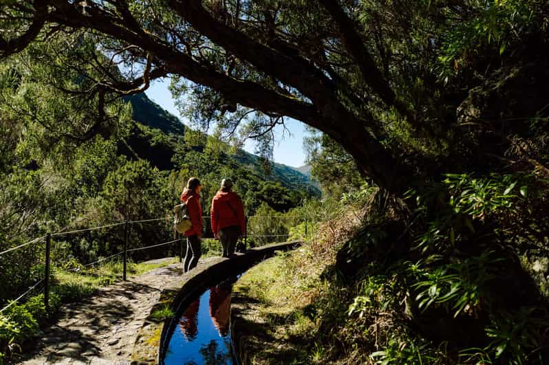 From Funchal/Caniço: Rabaçal Hike (25 Fontes) Bus Transfer - Key points to know before booking