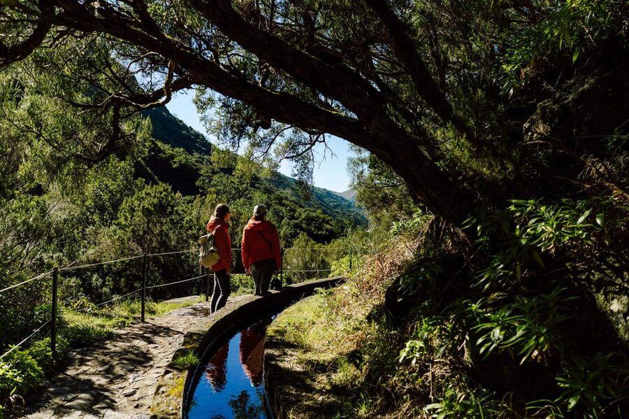 From Funchal/Caniço: Rabaçal Hike (25 Fontes) Bus Transfer - How much value do you get for $32?