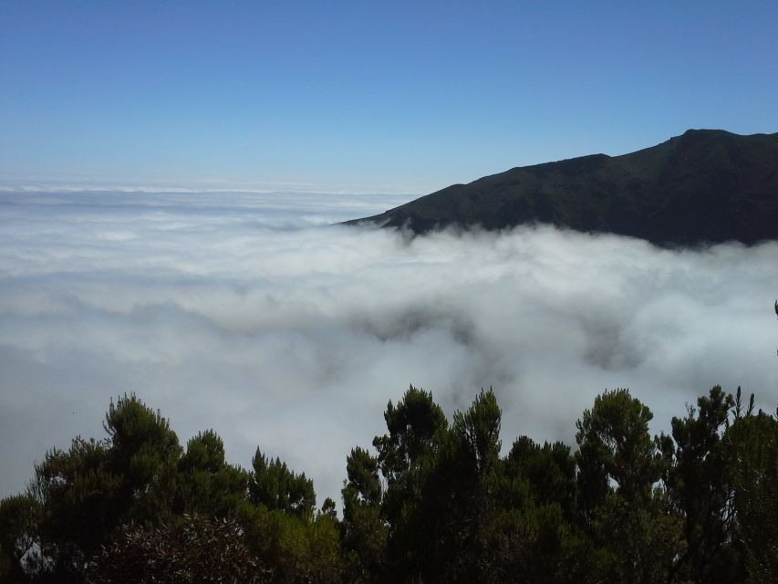 From Funchal: East Tour Madeira 4x4 Jipe Tour Santana Houses - What the 82 dollar price really covers