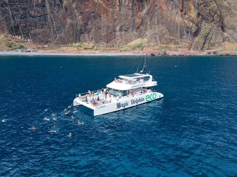 From Funchal: Ecological Catamaran Dolphin Whale Watching - Who will enjoy this catamaran most
