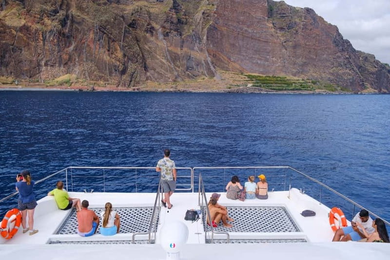 From Funchal: Ecological Catamaran Dolphin Whale Watching - A quieter way to search Madeira’s southern coast