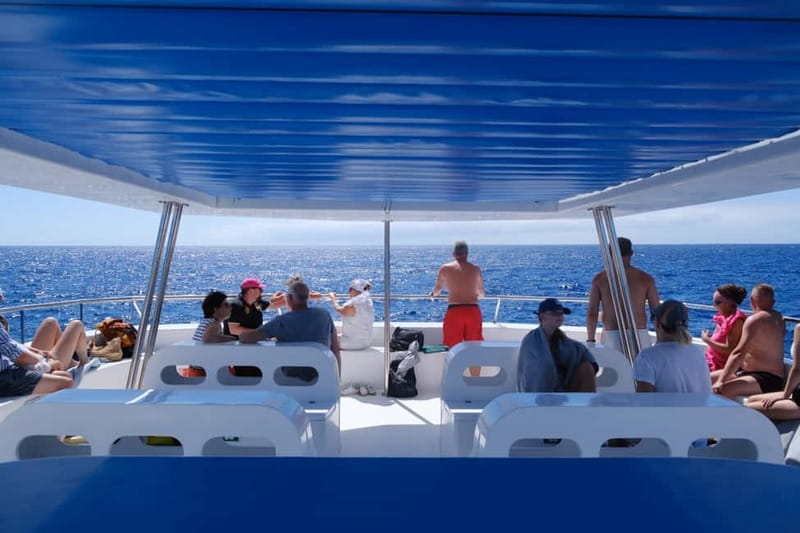 From Funchal: Ecological Catamaran Dolphin Whale Watching - The Cabo Girão stop and coastal return
