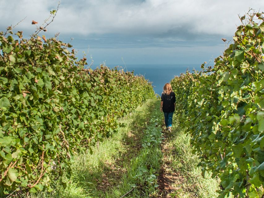 From Funchal: Full-Day Madeira Wine Tour with Lunch - Crossing the island through Laurissilva forest