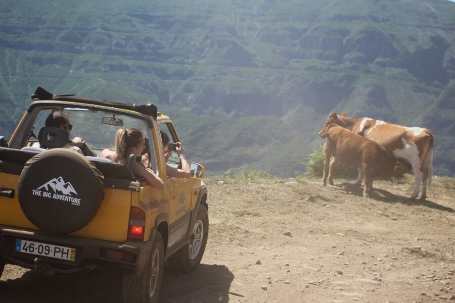 From Funchal: Guided Tour of Madeira Mountains in a Jeep - What you get for $56