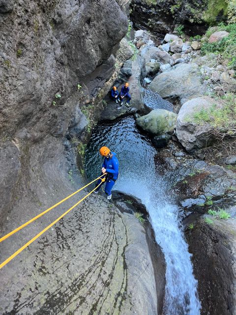 From Funchal: Intermediate Canyoning Adventure (Level 2) - Key points to know before booking