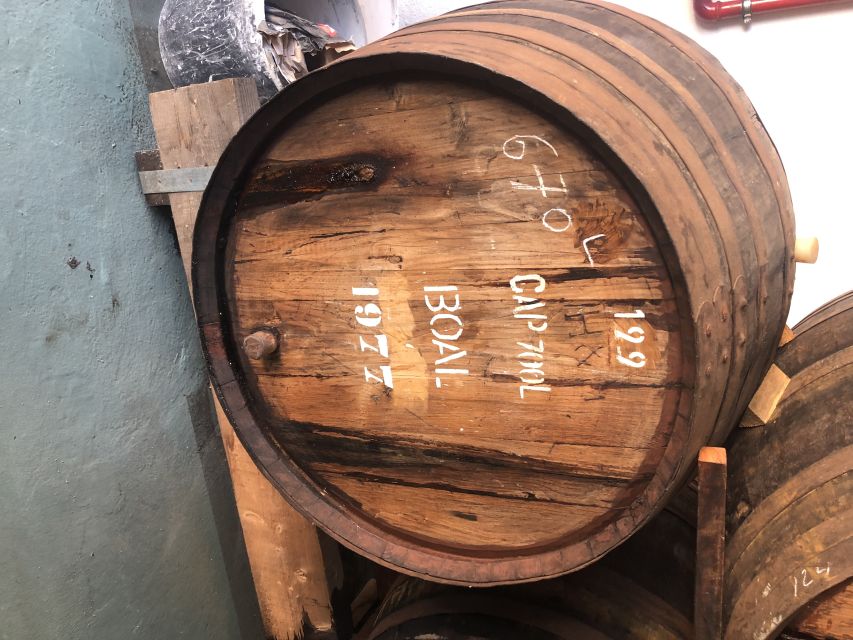 From Funchal: Jeep Tour with Madeira Wine Tasting - What the off-road driving is really like