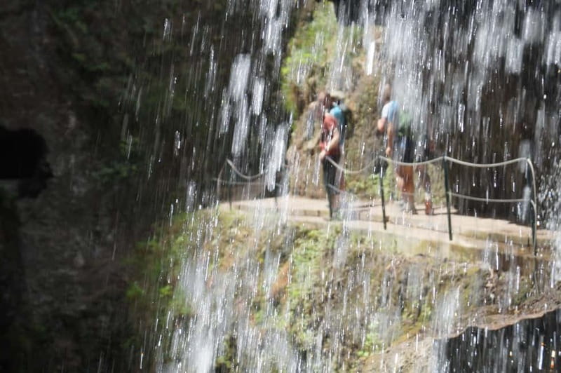 From Funchal: Levada Nova Hiking Tour with stopover at beach - Transport, timing, and value
