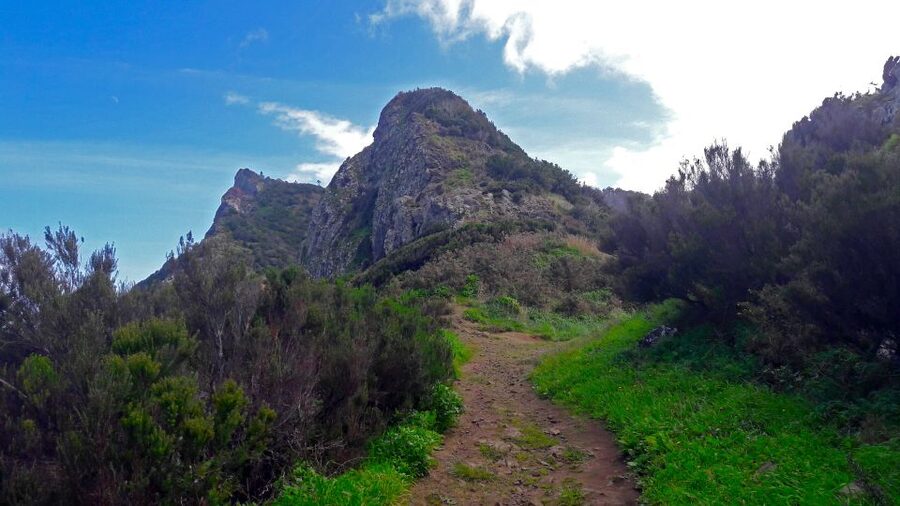 From Funchal: Machico to Porto da Cruz Larano Cliff Hike - Key points to know before booking