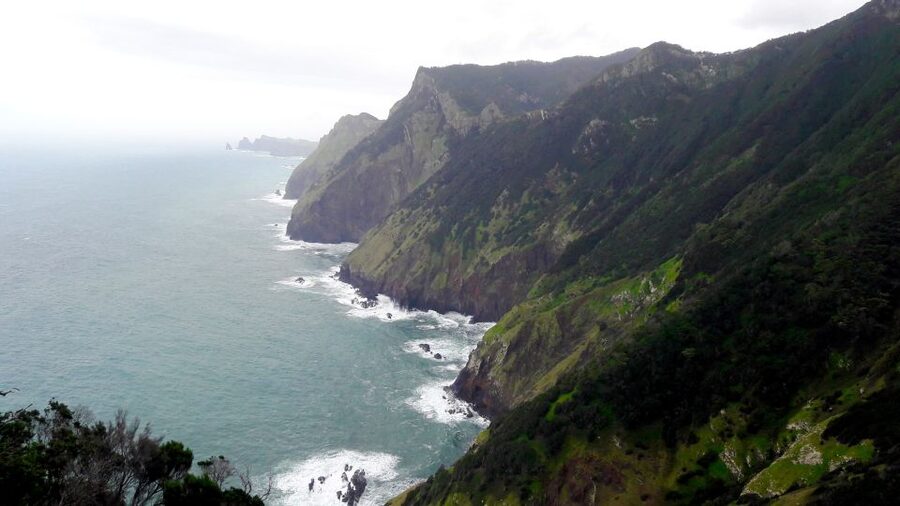 From Funchal: Machico to Porto da Cruz Larano Cliff Hike - Larano Cliff, where the route earns its name