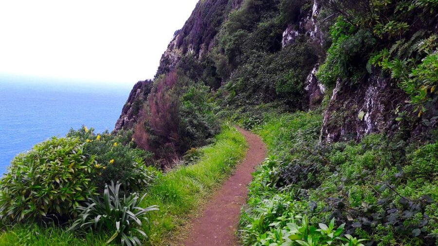 From Funchal: Machico to Porto da Cruz Larano Cliff Hike - Is the $50 price fair?