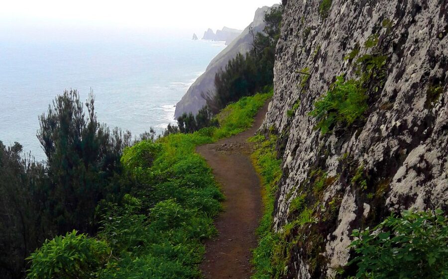 From Funchal: Machico to Porto da Cruz Larano Cliff Hike - Farmland and levadas before the cliffs