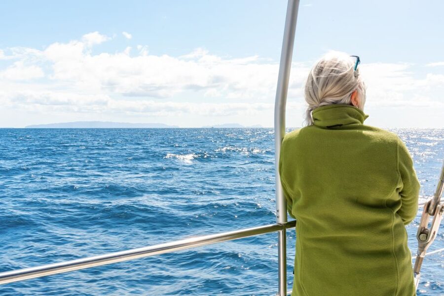 From Funchal: Madeira Dolphin and Whale Watching Tour - Key points at a glance