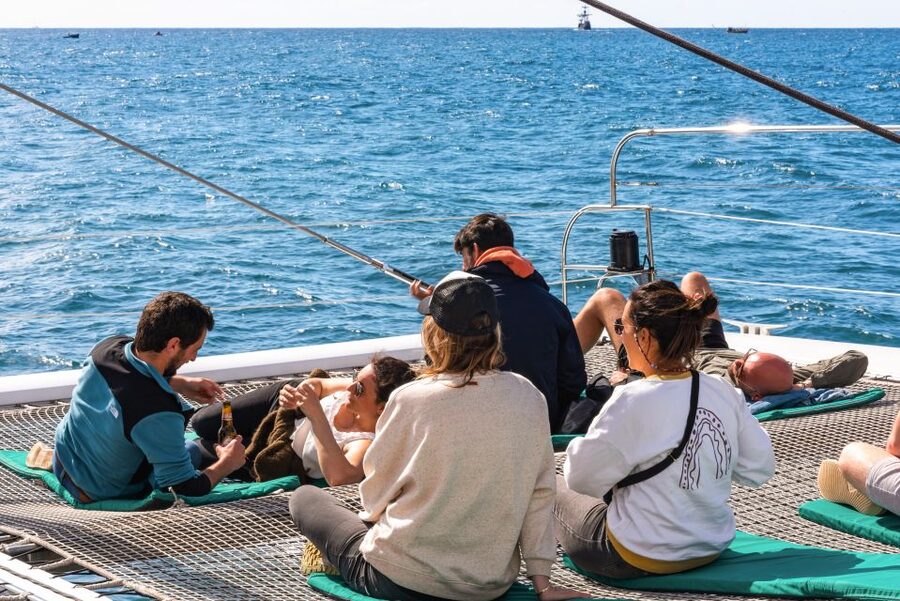 From Funchal: Madeira Dolphin and Whale Watching Tour - Cabo Girão from sea level