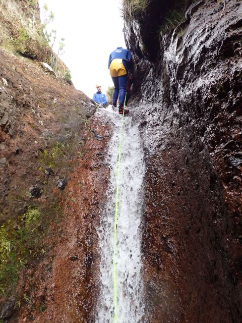 From Funchal: Madeira Island Canyoning for Beginners - Why this Madeira canyon is a good first step