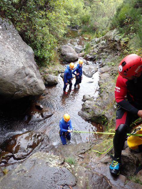 From Funchal: Madeira Island Canyoning for Beginners - Sliding, swimming, jumping, and abseiling