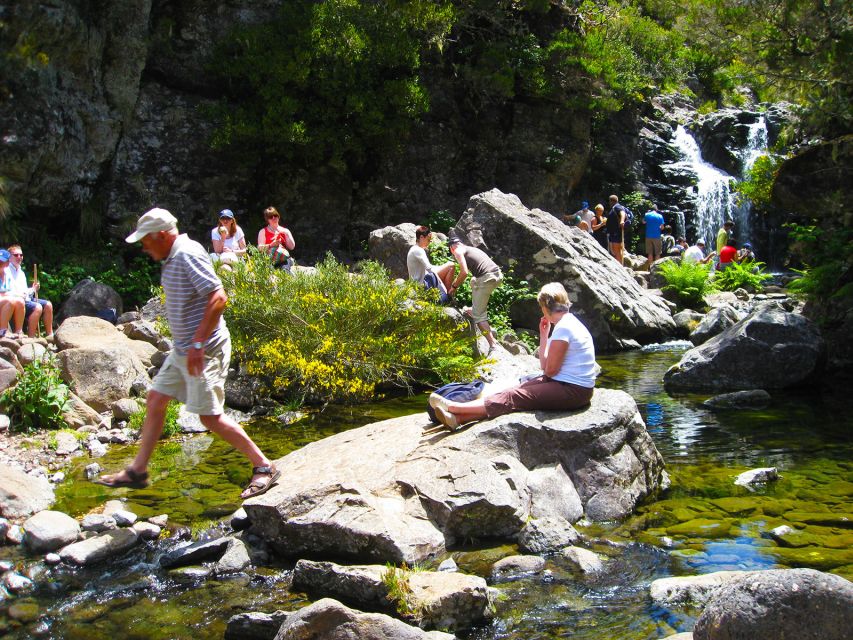 From Funchal: Madeira Lakes Levada Guided Hike - Following Levada do Alecrim through the forest