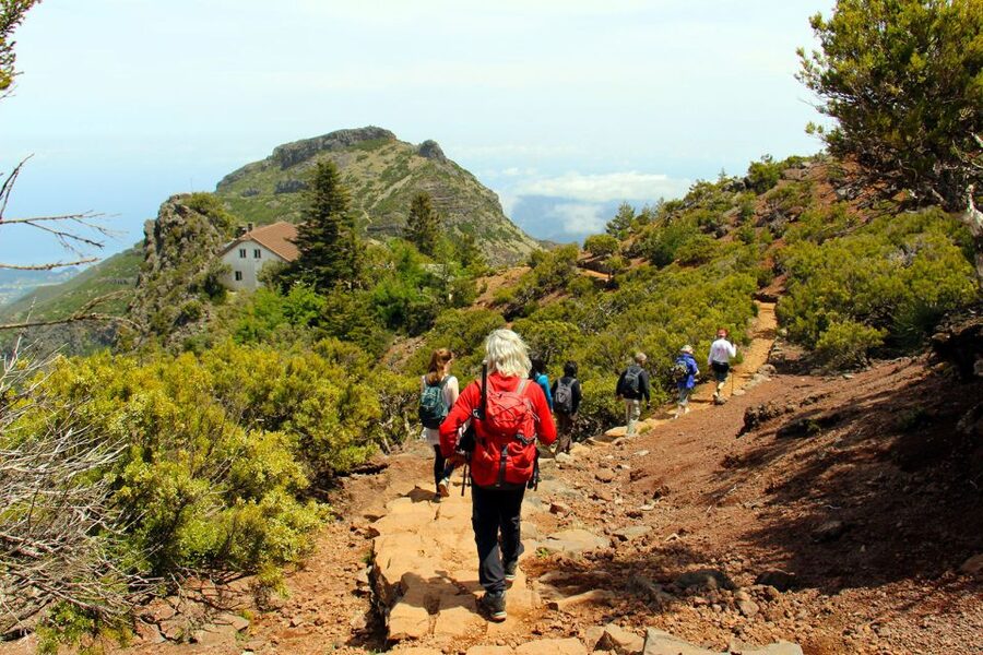 From Funchal: Madeira Peaks Mountain Walk - Key points to know before booking
