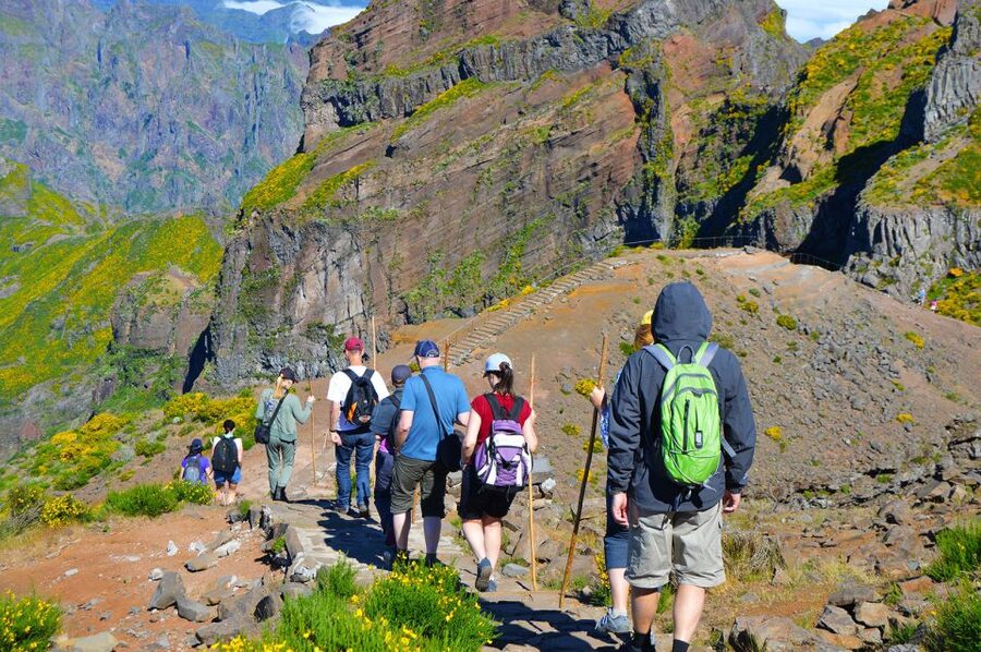 From Funchal: Madeira Peaks Mountain Walk - Who should book this hike?