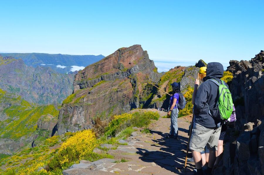 From Funchal: Madeira Peaks Mountain Walk - What the Madeira Peaks walk is really like