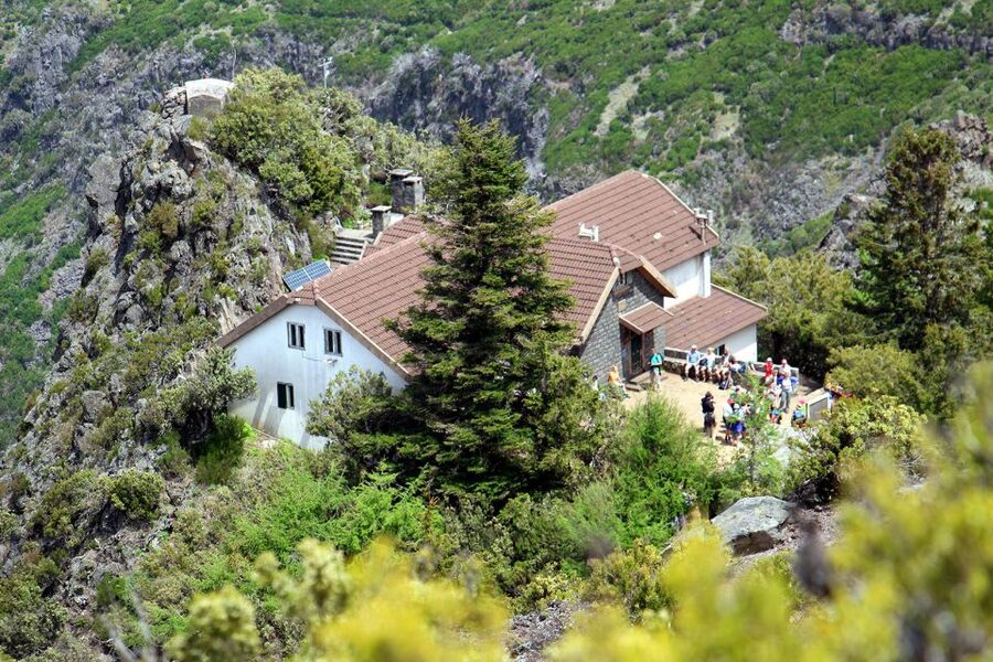 From Funchal: Madeira Peaks Mountain Walk - Breaks, lunch, and the return to the van