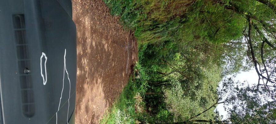 From Funchal: Pico Do Arieiro and Santana Full-Day 4x4 Tour - Pico do Arieiro at 1,818 meters