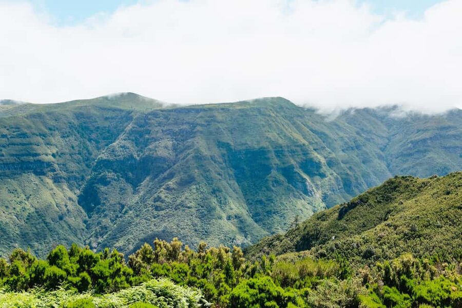 From Funchal: Porto Moniz and Seixal Day Tour by Jeep - Porto Moniz: lunch, volcanic pools, and the longest stop
