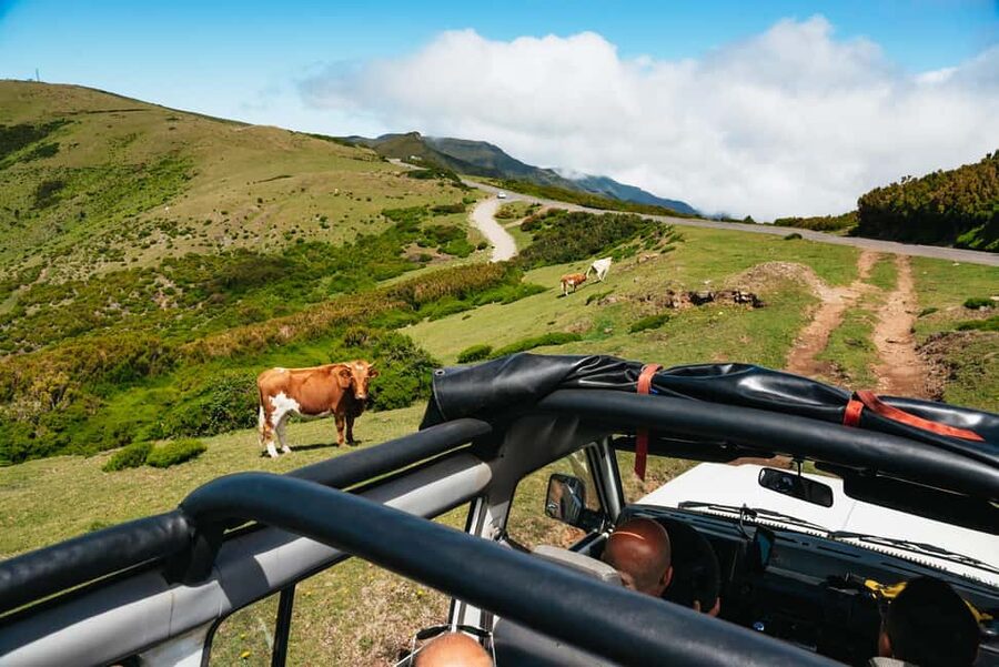 From Funchal: Porto Moniz and Seixal Day Tour by Jeep - Is $66 a fair price?
