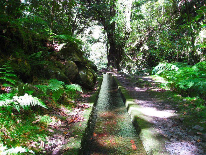 From Funchal: São Jorge Valleys Levada Walk - Walking the Levada do Rei into São Jorge