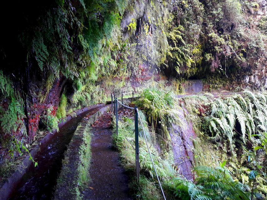 From Funchal: São Jorge Valleys Levada Walk - Should you book the São Jorge Valleys walk?