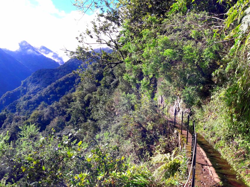 From Funchal: São Jorge Valleys Levada Walk - The rainforest is the main event