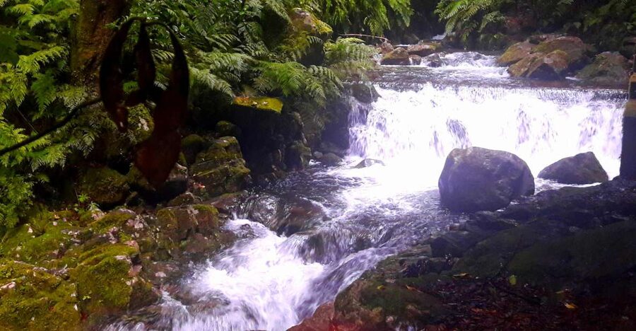 From Funchal: São Jorge Valleys Levada Walk - The out-and-back rhythm works well