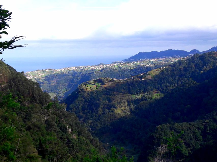 From Funchal: São Jorge Valleys Levada Walk - Why the levada matters