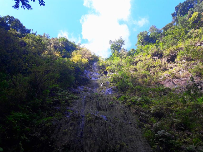From Funchal: São Jorge Valleys Levada Walk - How difficult is the São Jorge walk?