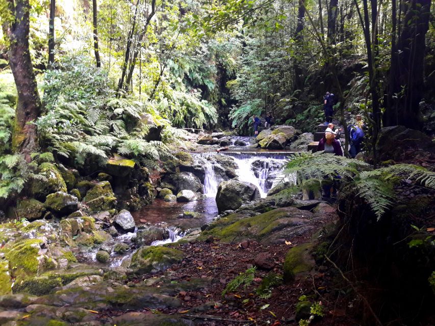 From Funchal: São Jorge Valleys Levada Walk - Pickup from Funchal and nearby areas