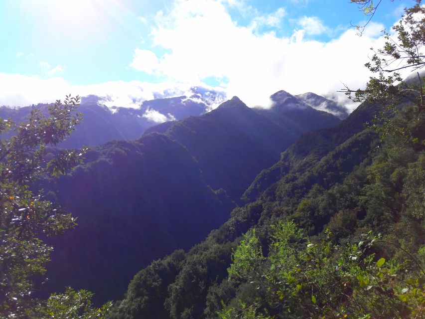 From Funchal: São Jorge Valleys Levada Walk - Is $50 a fair price?